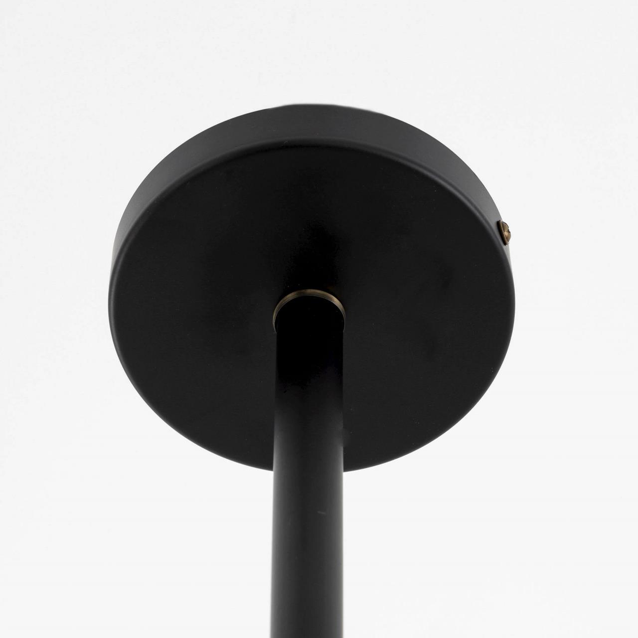 Люстра на штанге Citilux CL105295 в Москве