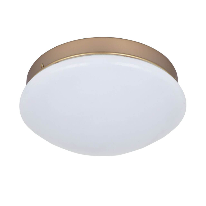 Потолочный светодиодный светильник F-Promo Ledante 2466-1C