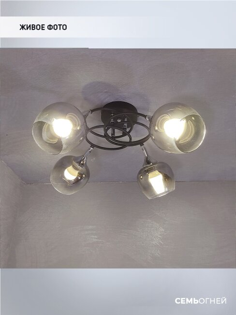 Потолочная люстра Wedo Light Vitero 66666.01.13.04