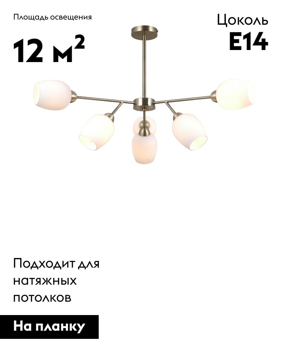 Люстра на штанге Moderli Cassy V10820-6C