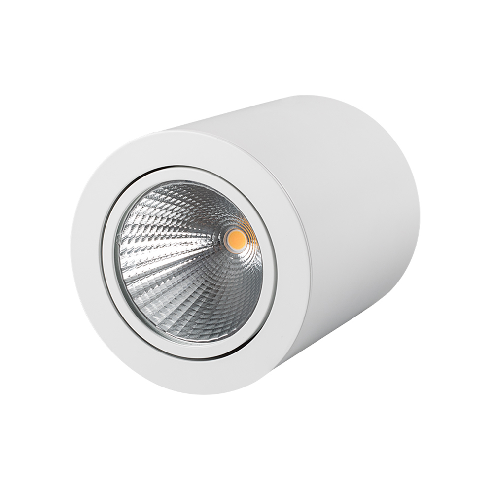 Накладной светильник Arlight SP-FOCUS-R120-16W Day White 021426