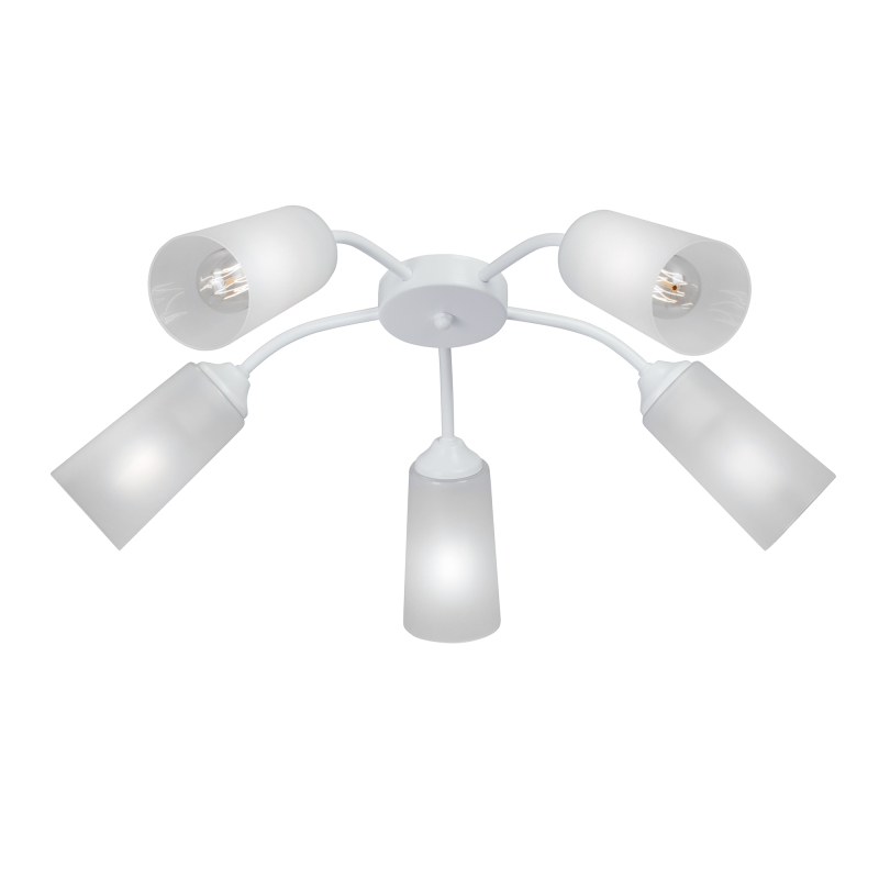 Потолочная люстра Vitaluce V3758-0/5PL