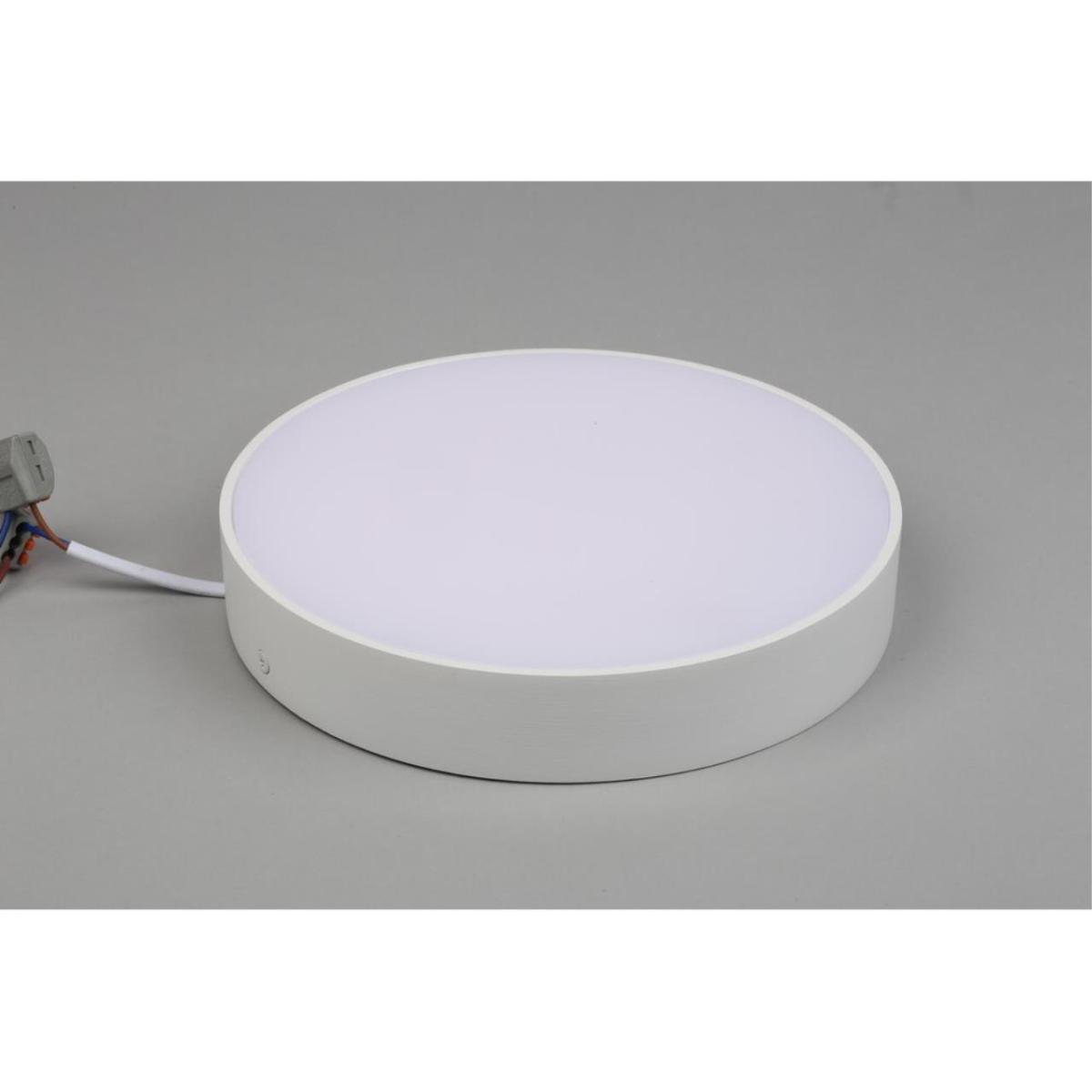 Потолочный светильник Aployt Evon APL.0113.09.24