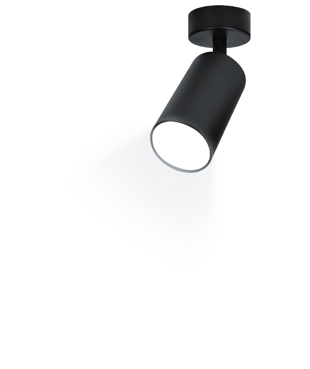 Спот Ritter Arton 59965 4