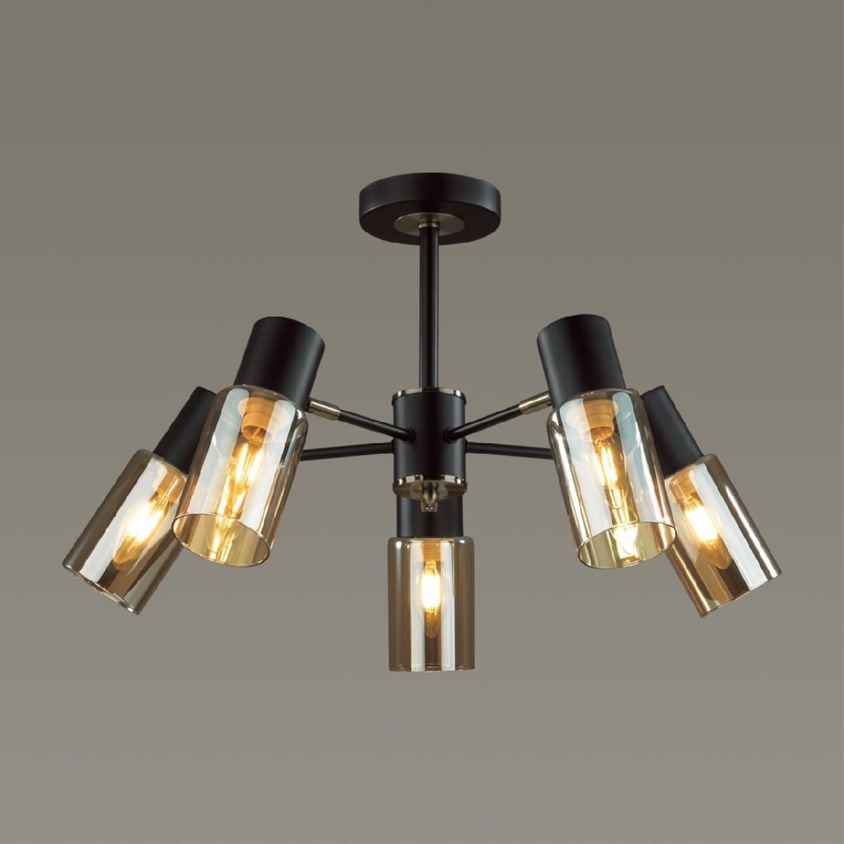 Люстра на штанге Lumion Ronnie 5644/5C