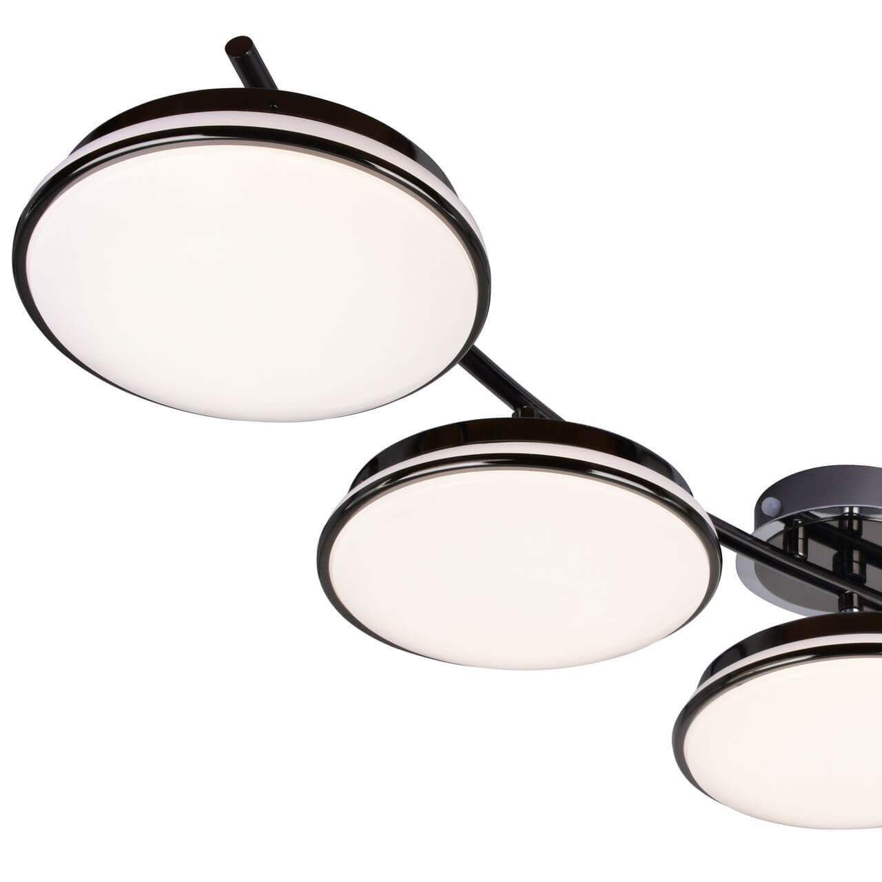 Потолочная светодиодная люстра F-Promo Ledante 2478-5U