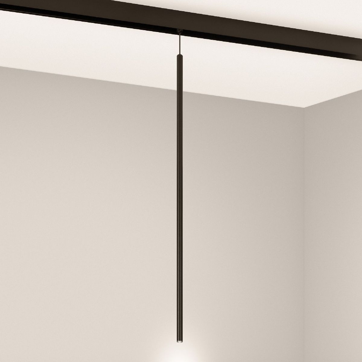 Трековый магнитный светильник Arlight MAG-ORIENT-SPOT-HANG-L600-R12-2W Warm3000 (BK, 20 deg, 48V) 044502