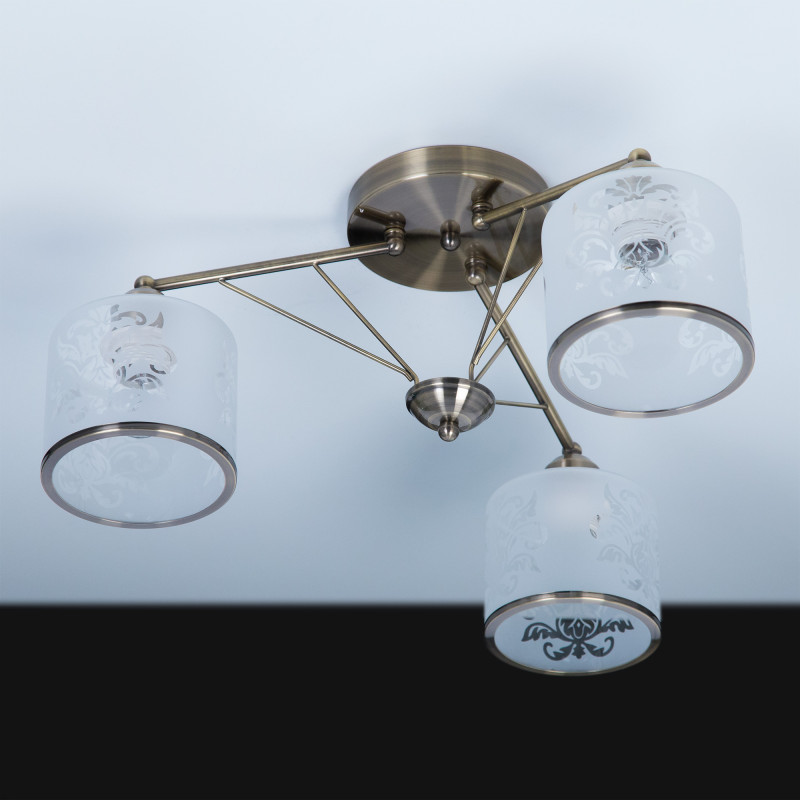 Накладная люстра Citilux CL172133