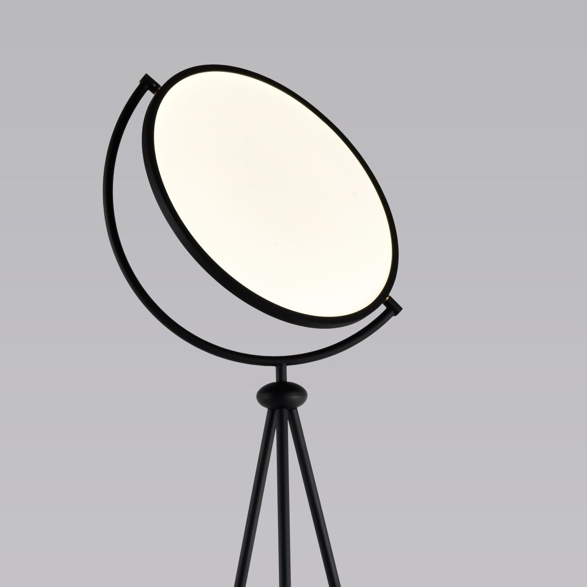 Торшер Alfa Light F3924-34