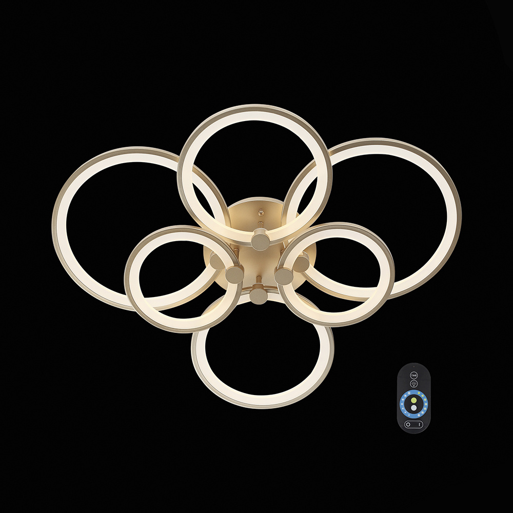 Потолочная светодиодная люстра ST Luce Twiddle Dimmer SL867.202.06