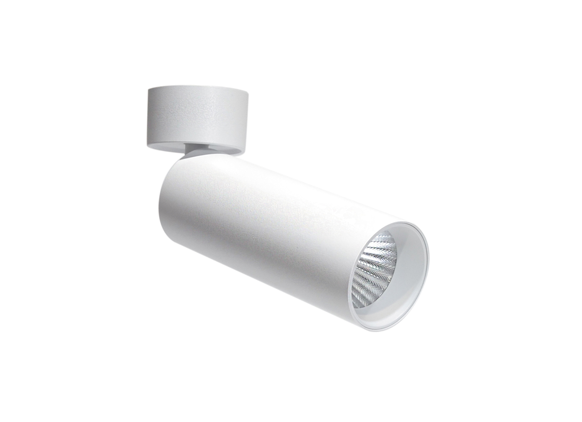 Накладной спот Donolux Rollo DL18895R20N1W ST