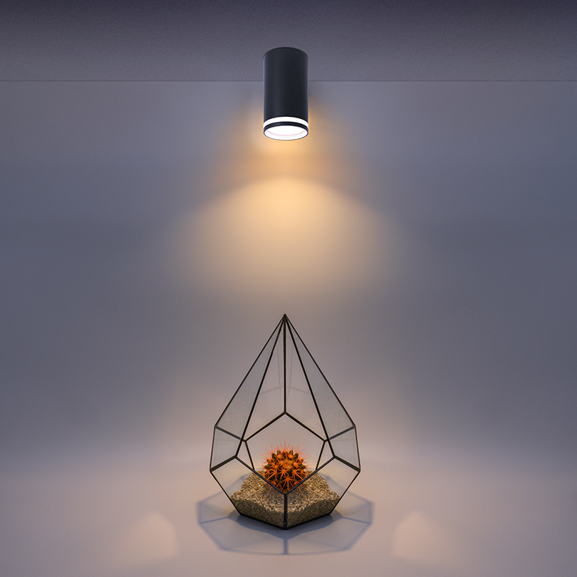 Накладной светильник Wolta Moderno WSL-GU10/02BL