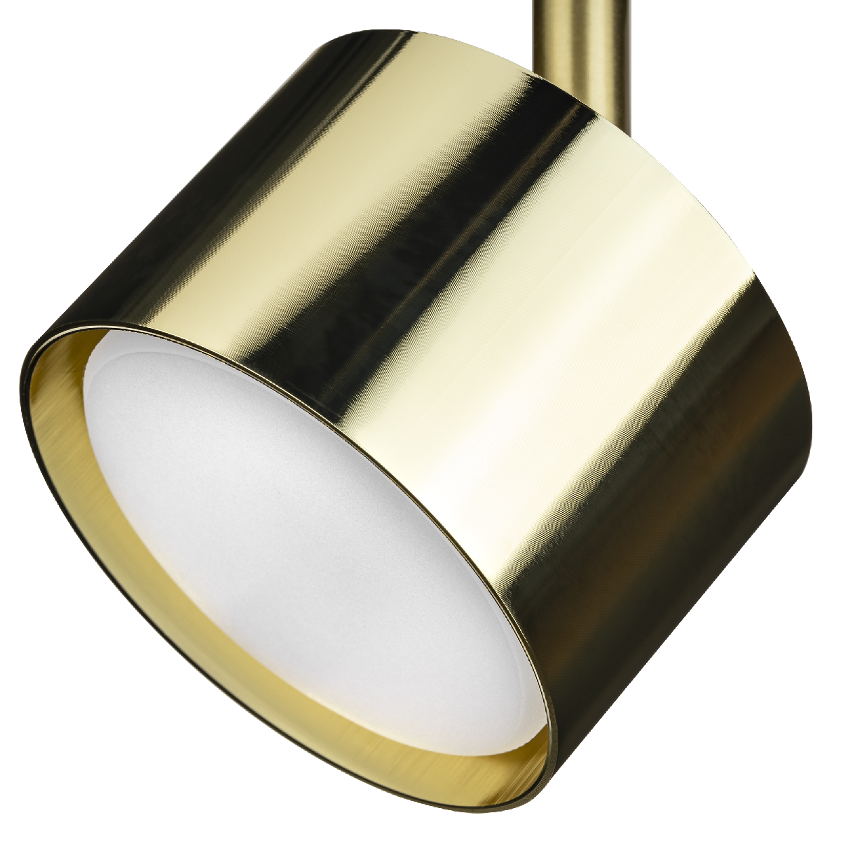 Трековый однофазный светильник Ritter Artline 59860 6