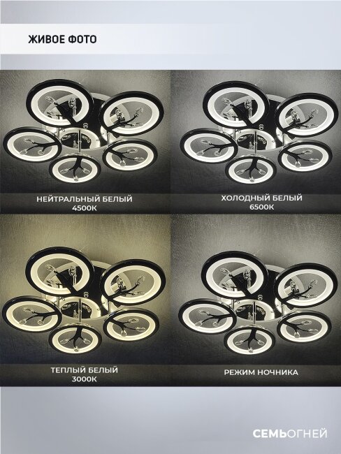 Потолочная люстра Wedo Light Felicity 75307.01.03.05RGB