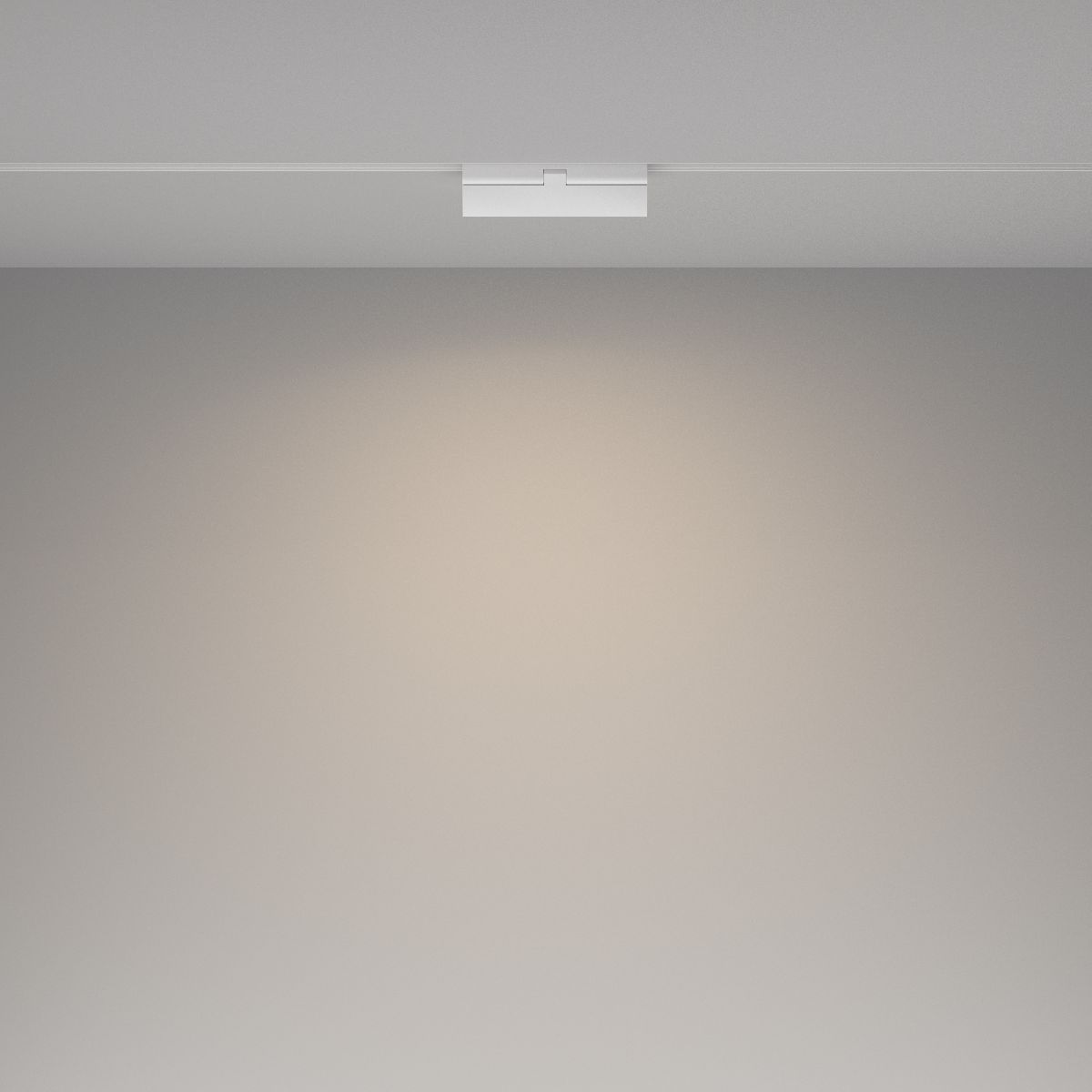 Трековый магнитный светильник Maytoni Basis Rot TR036-2-12W4K-W