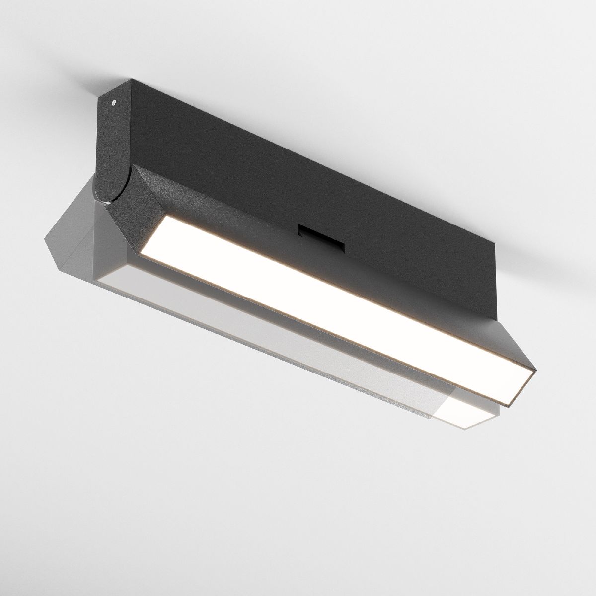 Настенно-потолочный светильник Maytoni Basis Rot C133CL-12W3K-B