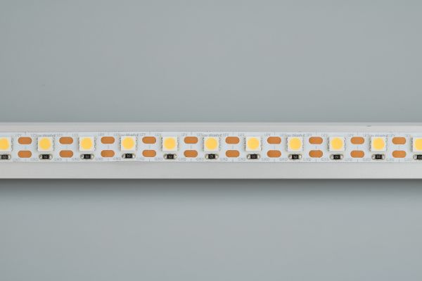 Светодиодная лента Arlight RT-B72-10mm 12V Day4000-CX1 (15.6 W/m, IP20, 5060, 5m) 016841(2)