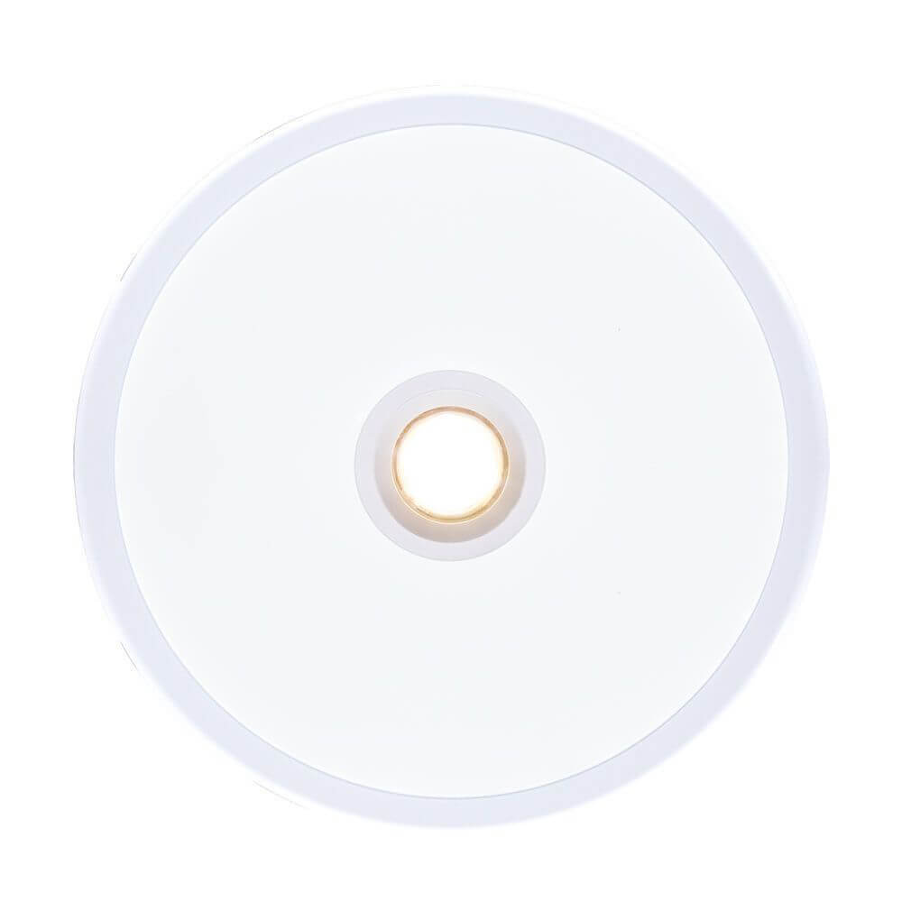 Встраиваемый светодиодный светильник Arte Lamp A2517PL-2WH