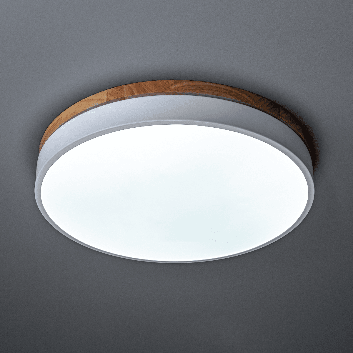 Потолочный светильник Ritter Snello 51623 5