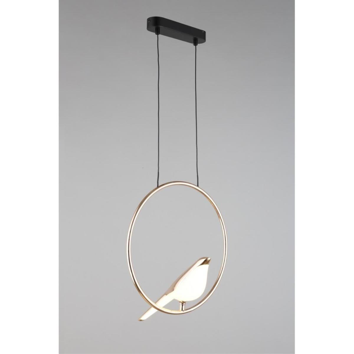 Подвесной светодиодный светильник Aployt Astor APL.822.06.10