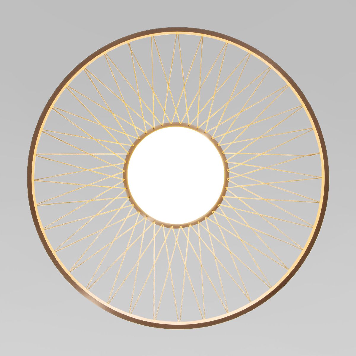 Подвесная люстра Eurosvet Cesta 40017/1 LED коричневый a069288