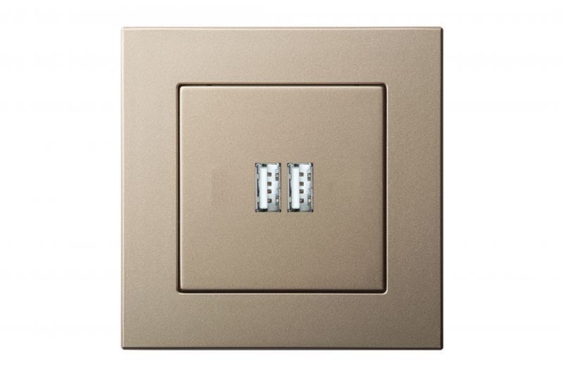 Розетка USB двойная для зарядки умная 5V(3,4А) Liregus Epsilon 28-3242