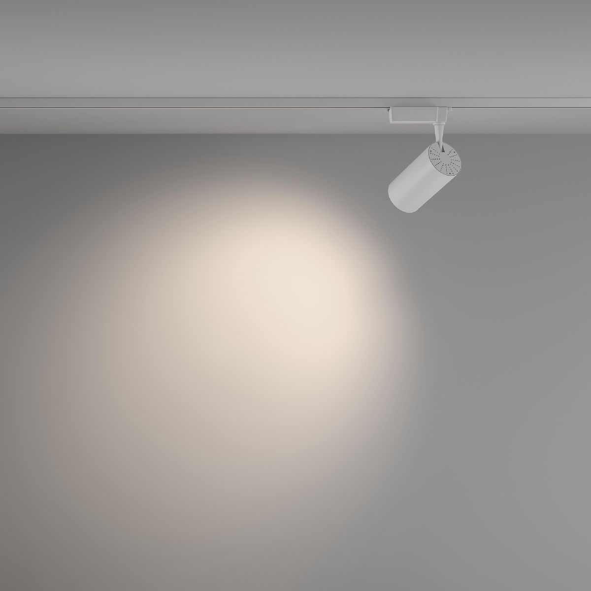 Трековый светильник Maytoni Technical Vuoro TR003-1-36W4K-W-W УЦ