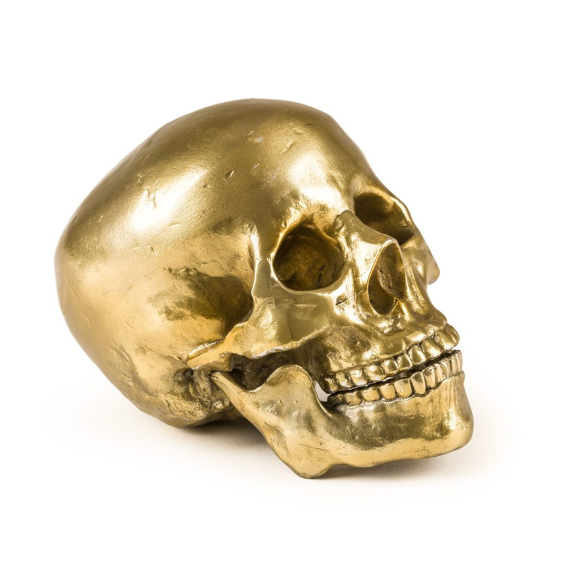 Статуэтка Human Skull Seletti Wunderkammer 10891