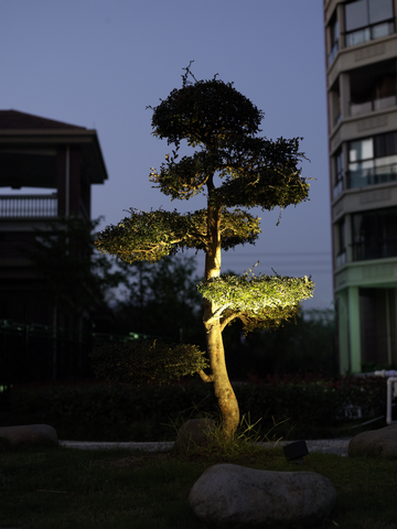 Ландшафтный светильник наземный DesignLed FL-2741-8-GR-WW 007622