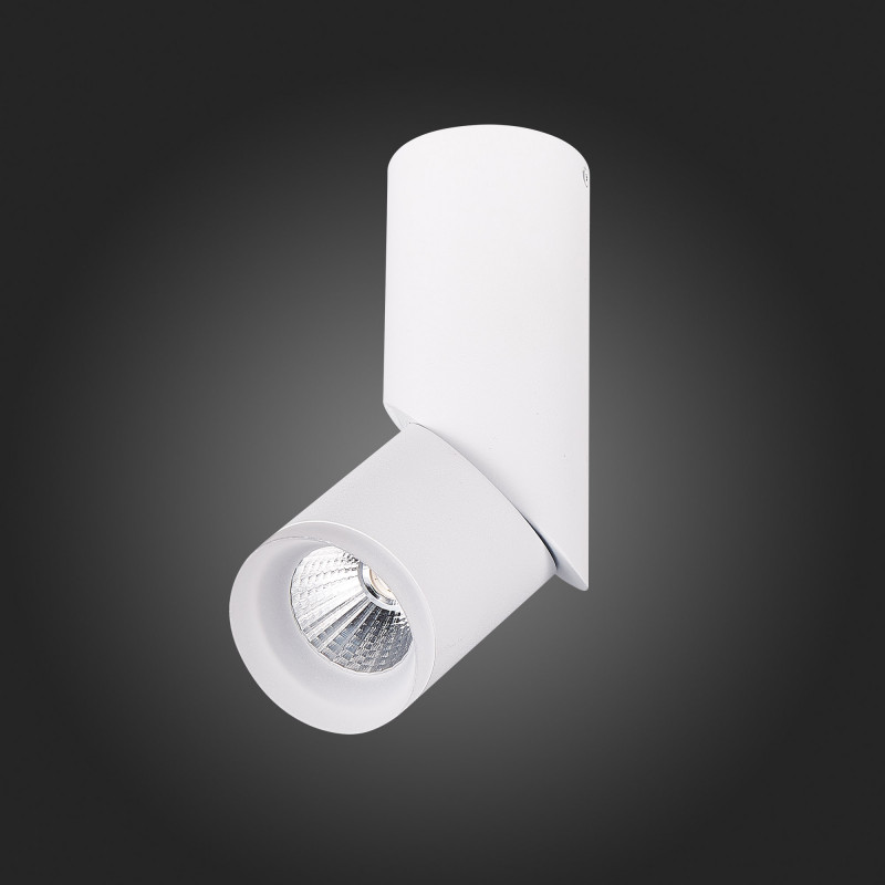 Светодиодный спот ST Luce Tortelle ST107.542.10