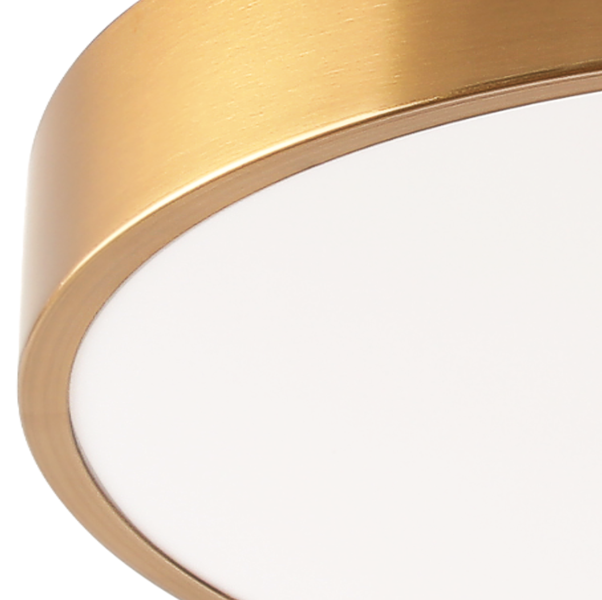 Потолочный светильник Zortes Tortty ZRS.02566.36