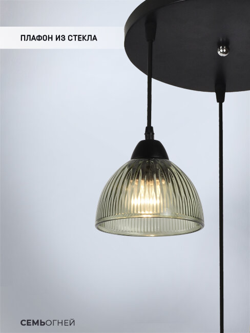 Подвесная люстра Wedo Light Dzhenis WD4004/3P-BK-GN