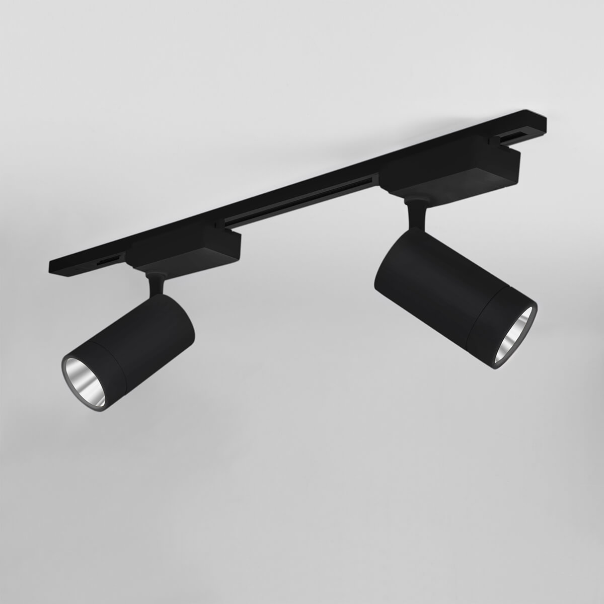 Трековый светильник Elektrostandard Baril Черный 40W 4200K (LTB47) однофазный 4690389145551 a046185