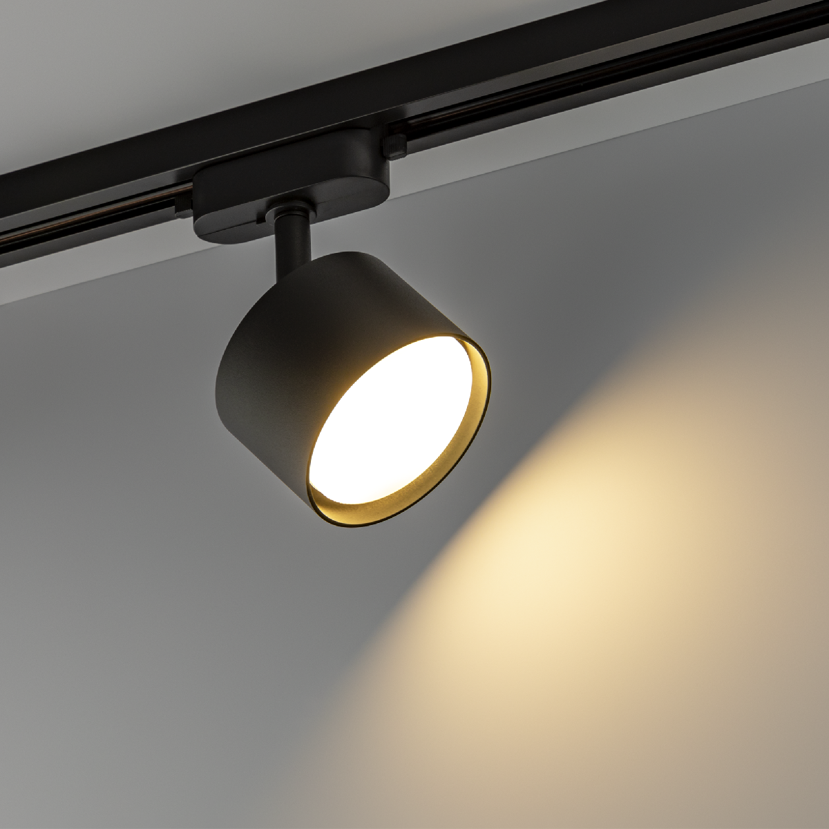 Трековый однофазный светильник Ritter Artline 59858 3