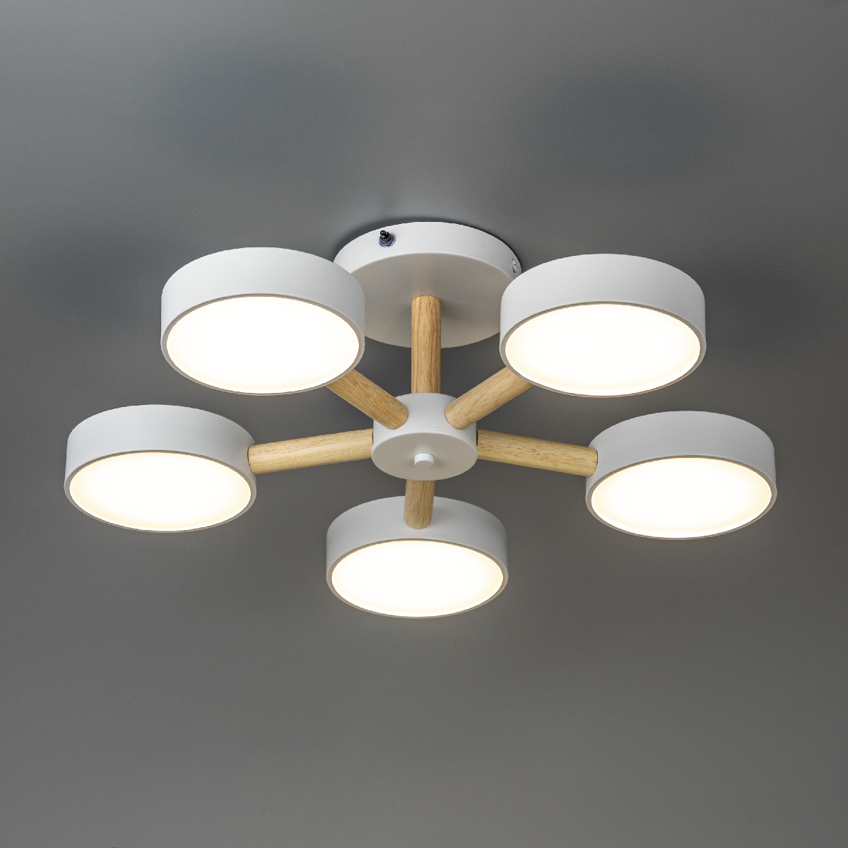 Люстра на штанге Ritter Scandia 51591 7