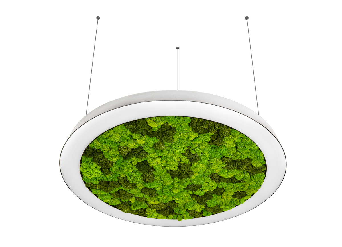 Подвесная люстра Donolux Aura Moss DL600S54WW Moss White