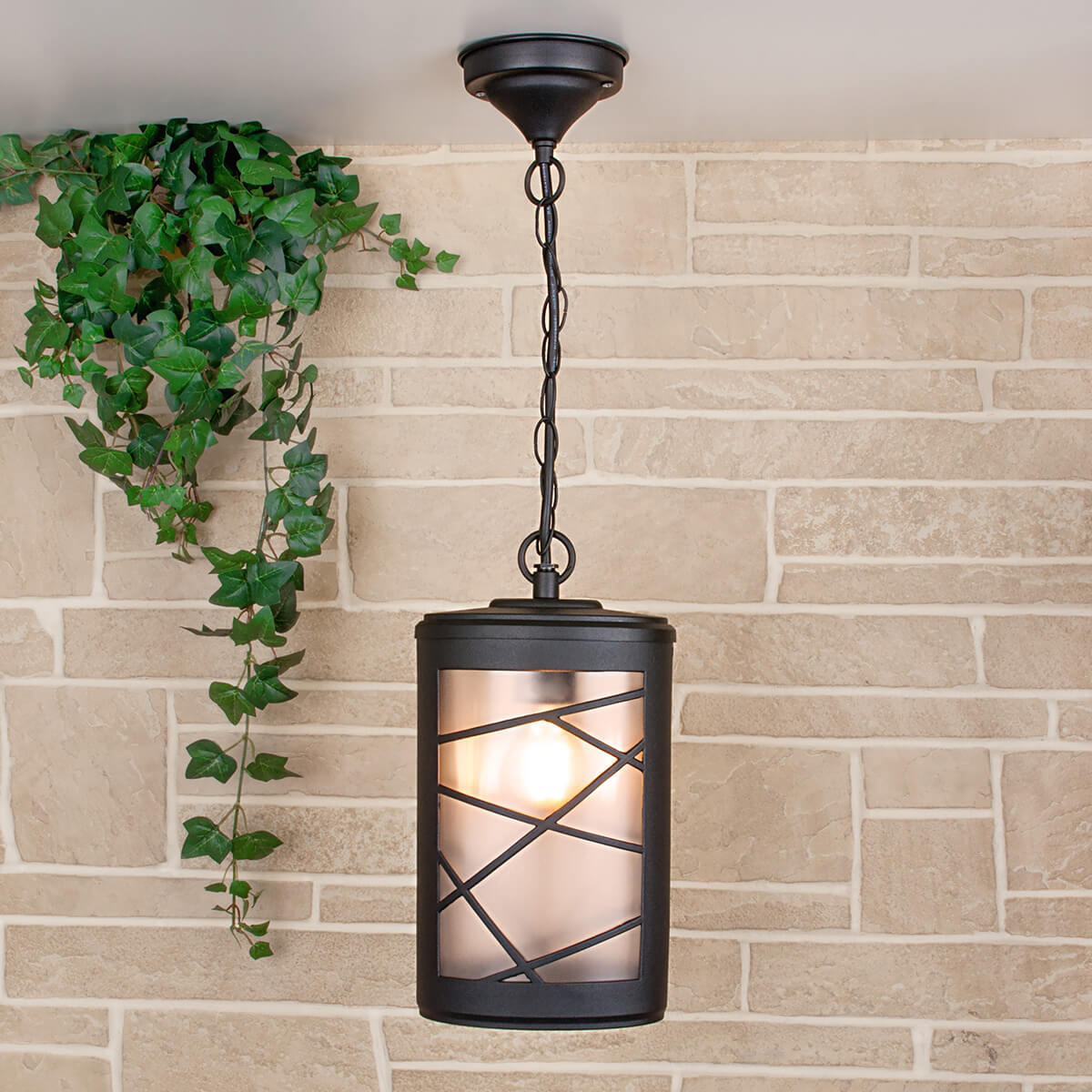 Уличный подвесной cветильник Elektrostandard Premier H GL 1017H 4690389115219