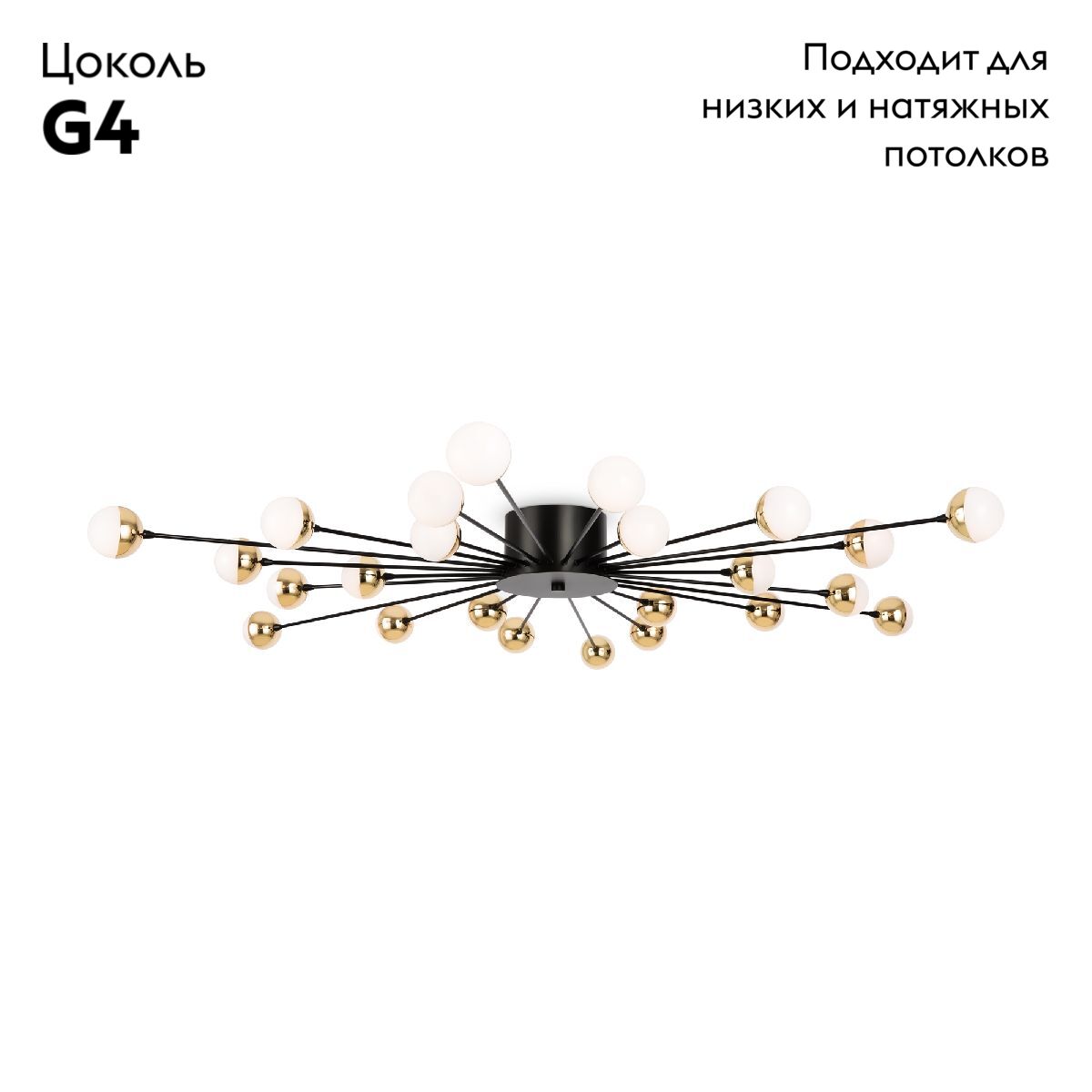 Потолочная светодиодная люстра Freya Celebrity FR5242CL-24B