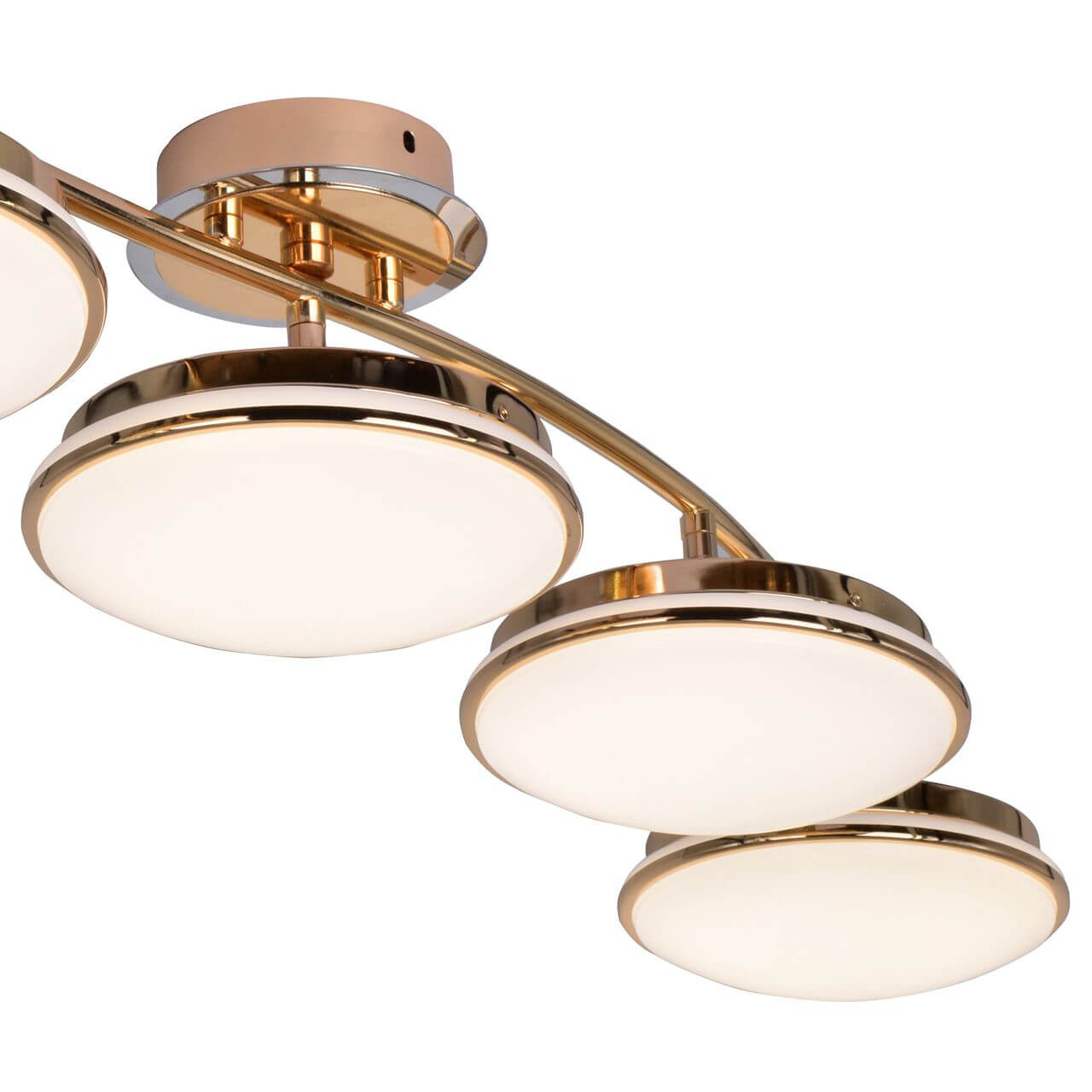 Потолочная светодиодная люстра F-Promo Ledante 2477-5U