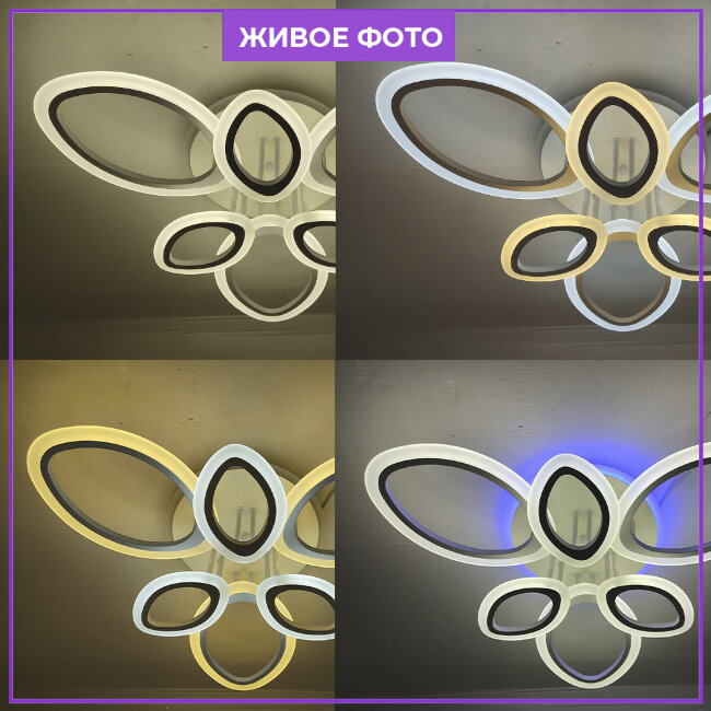 Потолочная люстра Wedo Light Salve 75328.01.09.06RGB