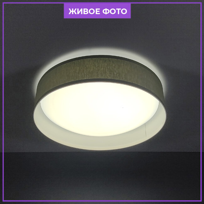 Потолочный светильник Seven Fires Лагом 48204.30.20.64GR