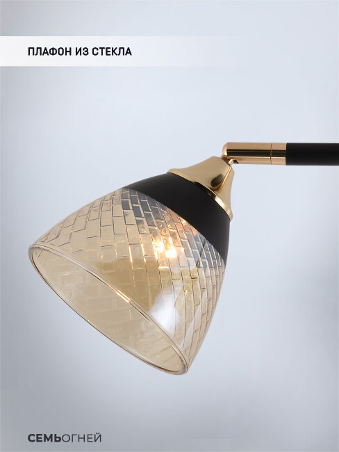 Спот Seven Fires Kelemen SF3379/2C-BK-FGD-AM