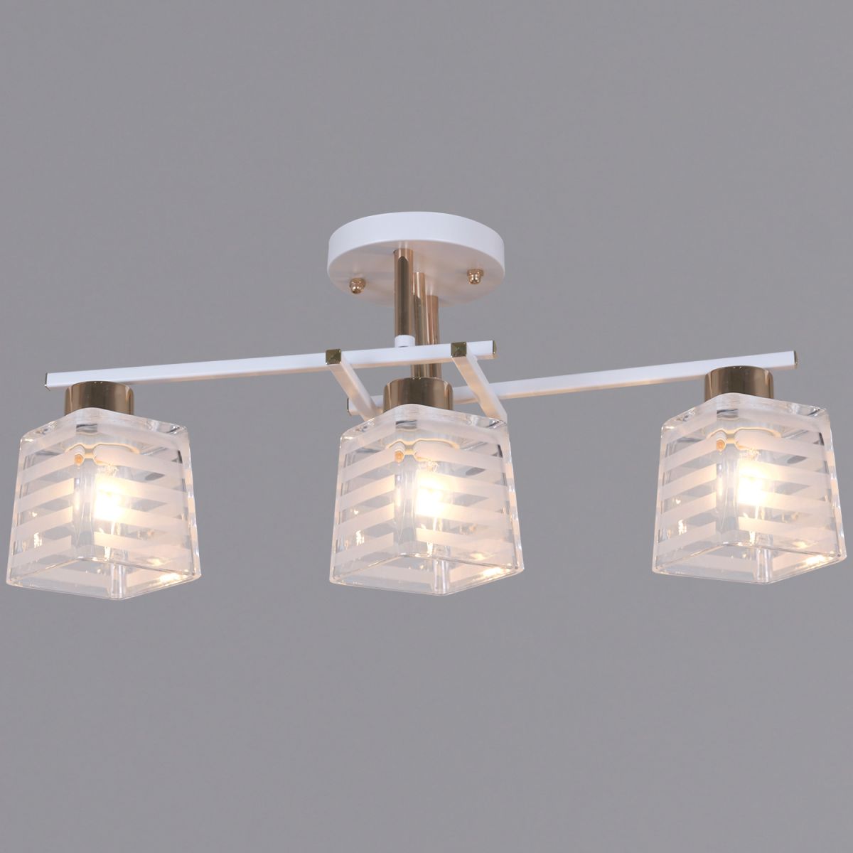 Потолочный светильник Reluce 09260-0.3-03 WH+FG