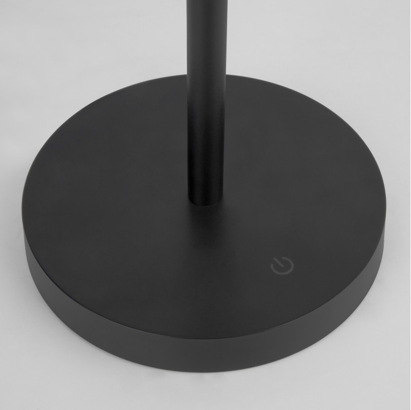 Настольная лампа Eurosvet APOLLO 80424/1 черный