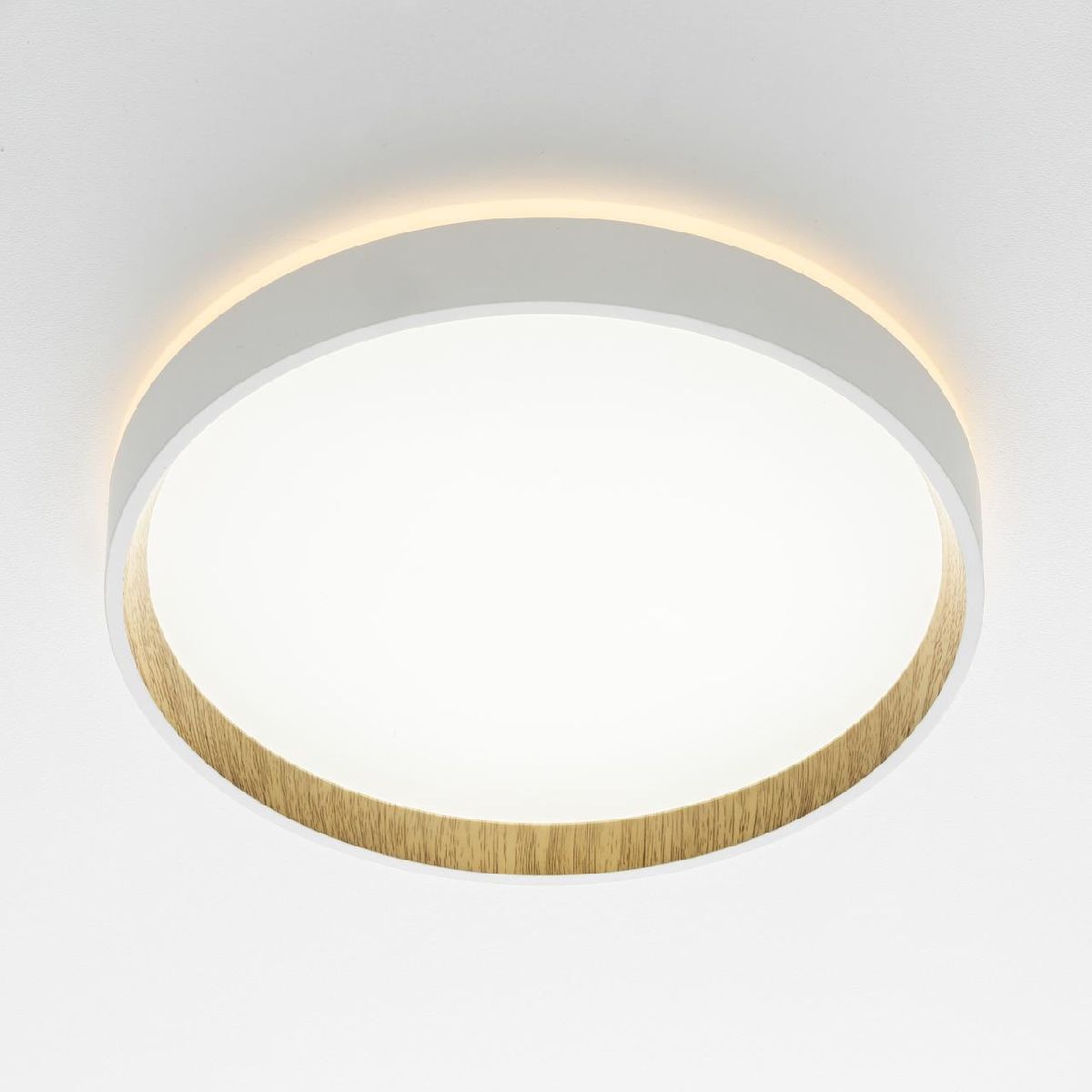 Потолочный светильник Citilux Etalon CL750240