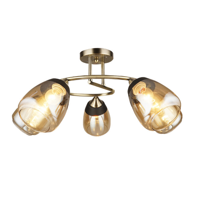 Потолочная люстра Wedo Light Aldino 66425.01.05.05