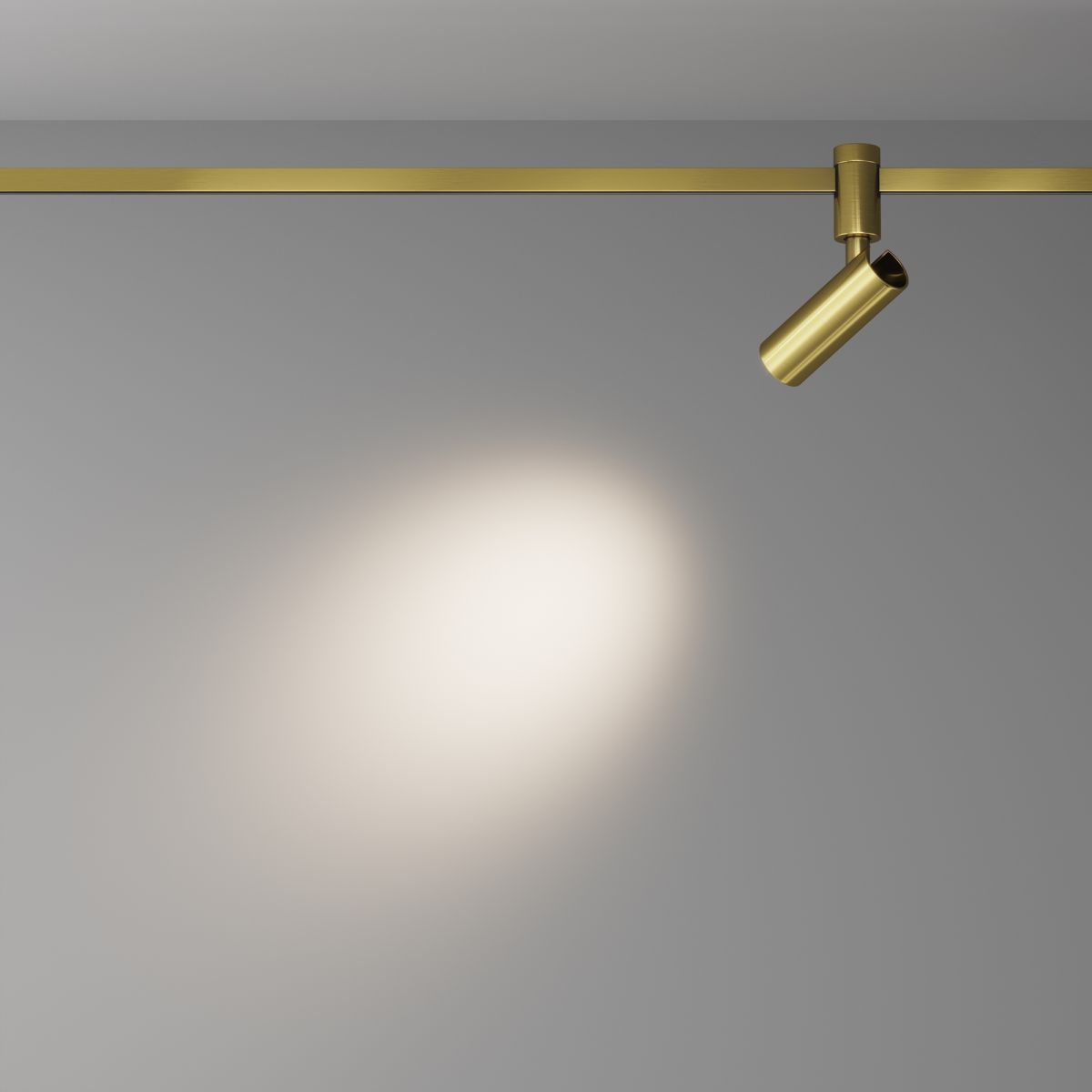 Трековый магнитный светильник Maytoni FOCUS LED TR144-1-12W3K-W-BS