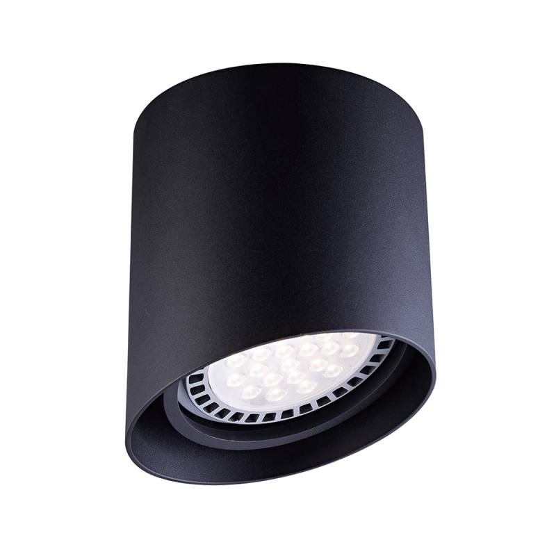 Потолочный светильник Zumaline PARC ACGU10-129