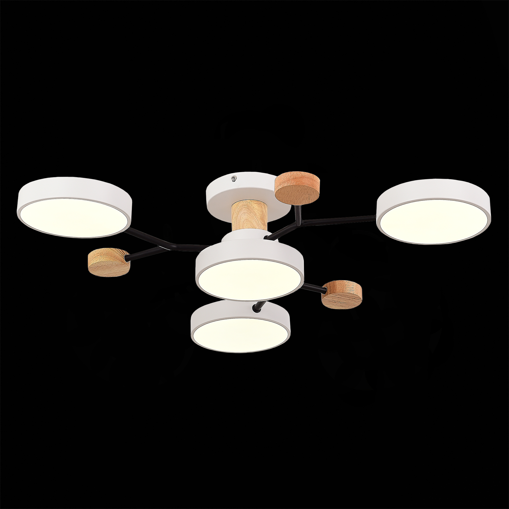 Люстра на штанге Evoluce Faema SLE6006-502-04