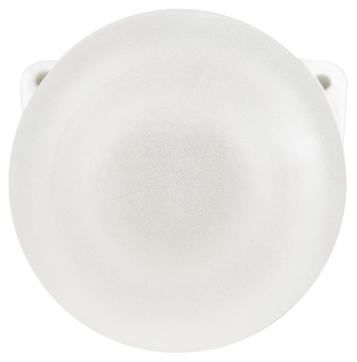 Настенно-потолочный светильник Эра НББ 02-60-002 Б0064018